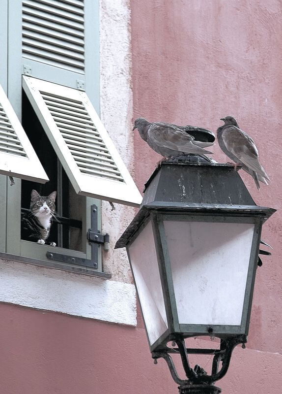 爱游戏体育平台-俱乐部管理稳定性与成绩关联，俱乐部管理稳定性与成绩关联性的关系